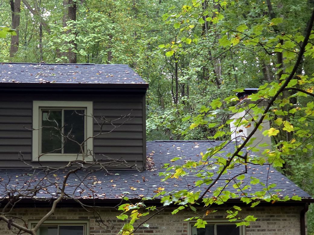 New roof shingles over new dark siding